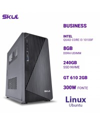 COMPUTADOR BUSINESS B300 QUAD CORE I3 10100F MEM 8GB DDR4 SSD 240GB NVME GT 610 2GB FONTE 300W LINUX