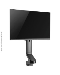 SUPORTE PARA MONITOR 17'' A 32'' VESA 100X100 PLMSM01F