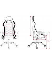 Cadeira Gamer RGB Estelar Racing Séries DT3sports