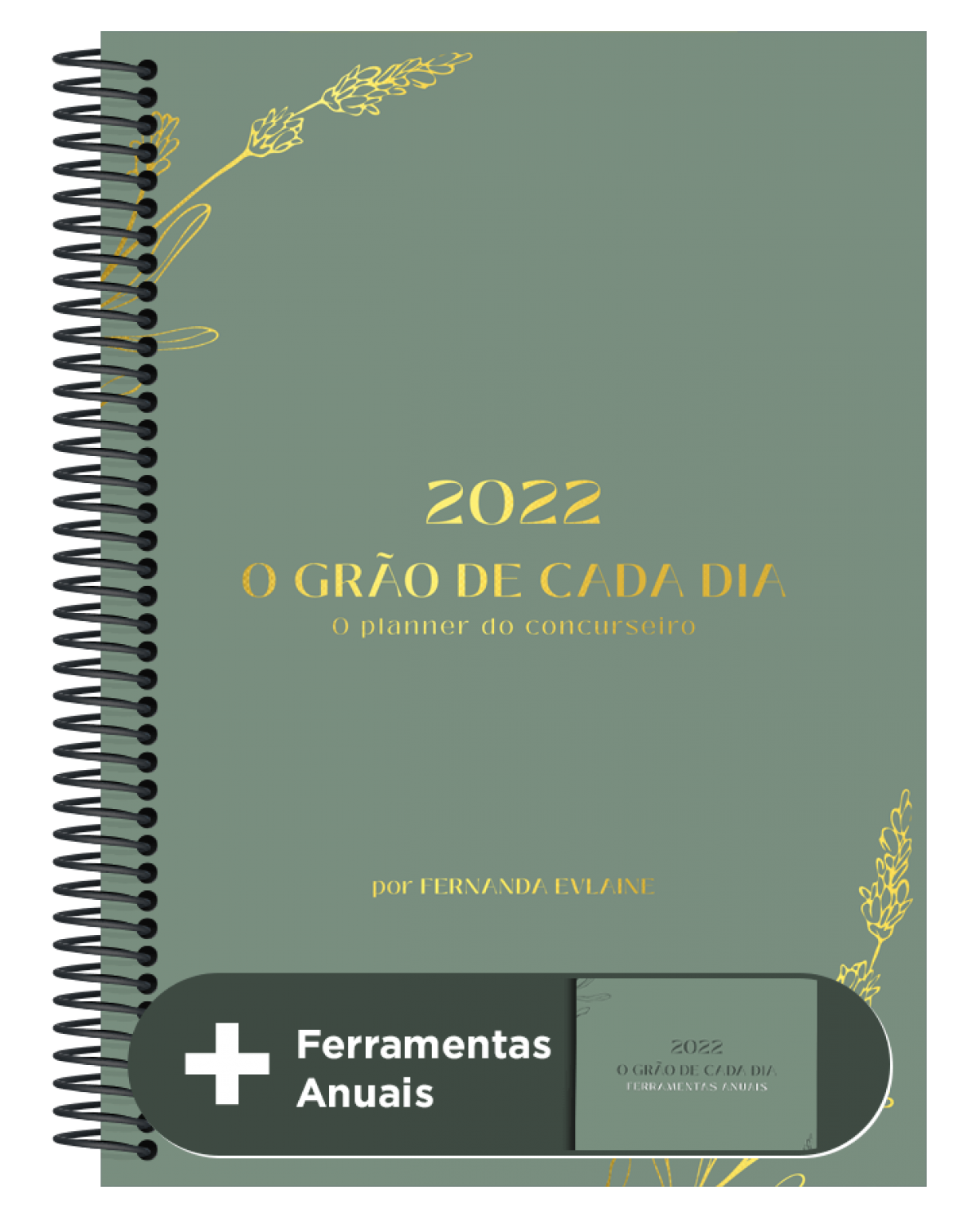 O grão de cada dia - 3ª Edição | 2022